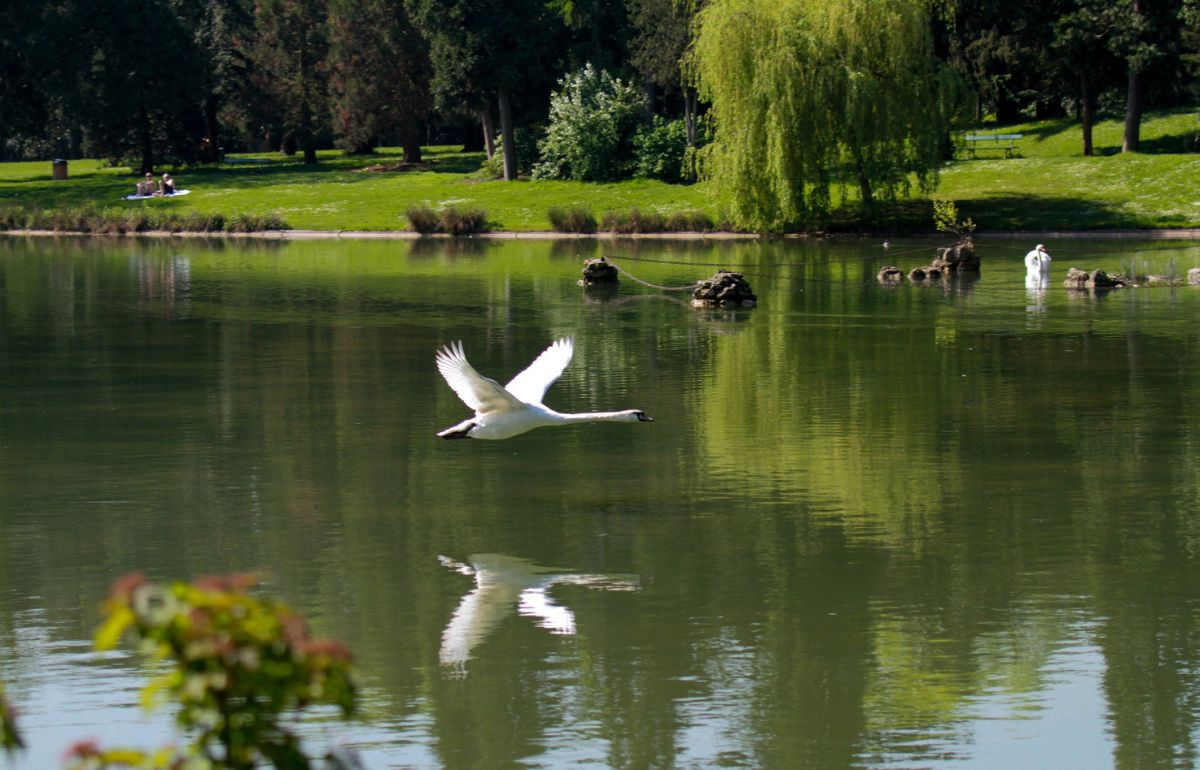 Paysages, eau et biodiversité